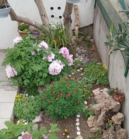Marina Apartman *