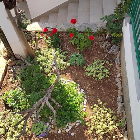 Marina Appartement