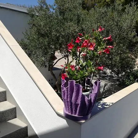 Marina Apartment