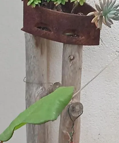 Appartement Marina *