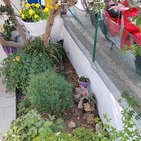 Apartamento Marina *
